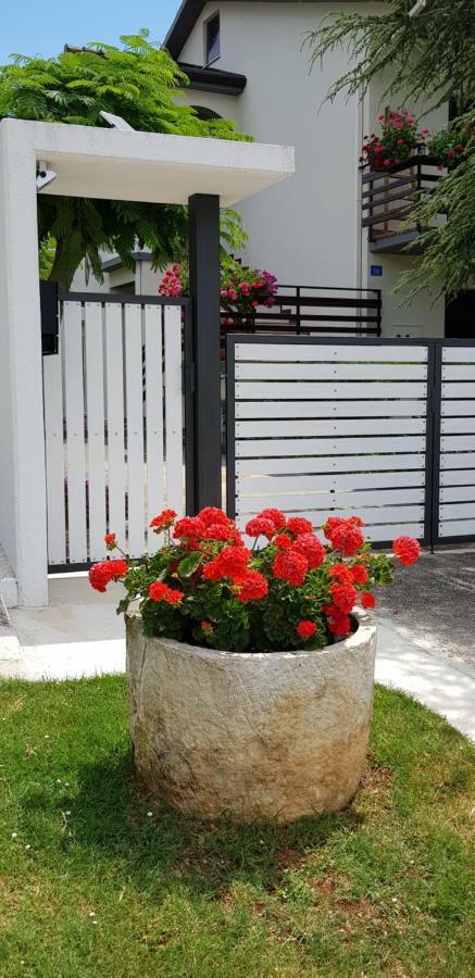 Fiori Apartment Umag