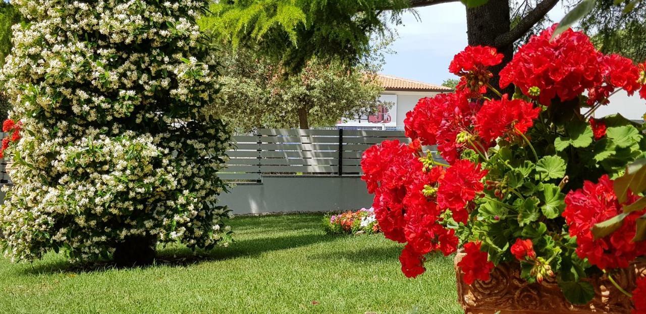 Fiori * Umag